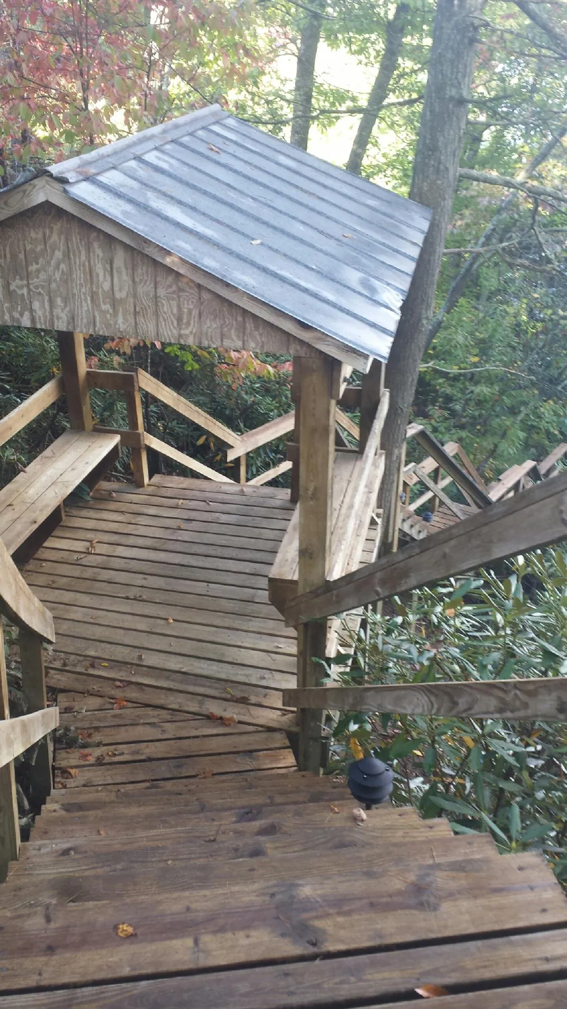 Metal roofed shelter over wooden steps on a wooded walkway — Skylight Repair & Installation work by our crew in White Rock